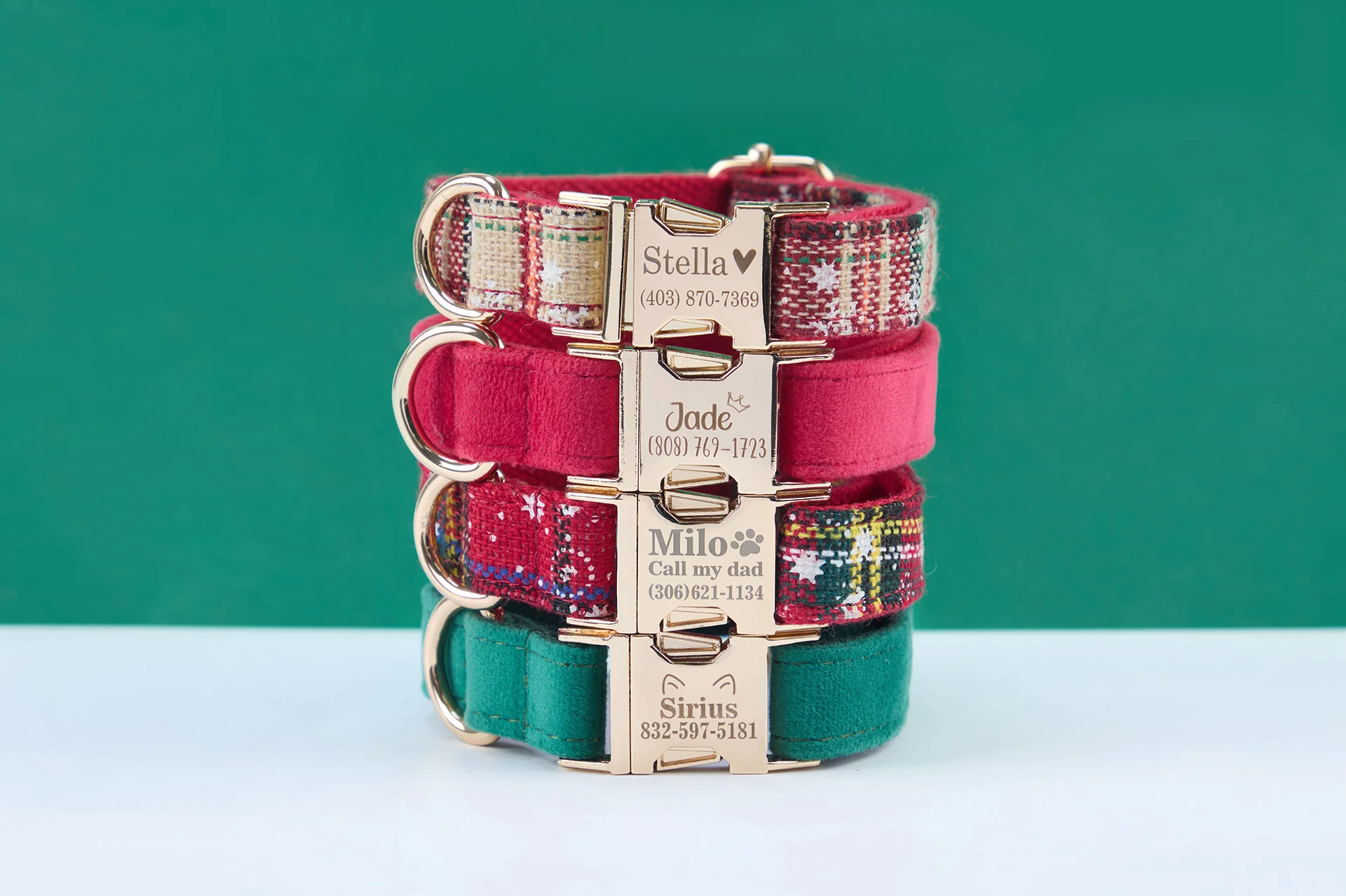 Personalized Pet Accessories ecommerce product visual