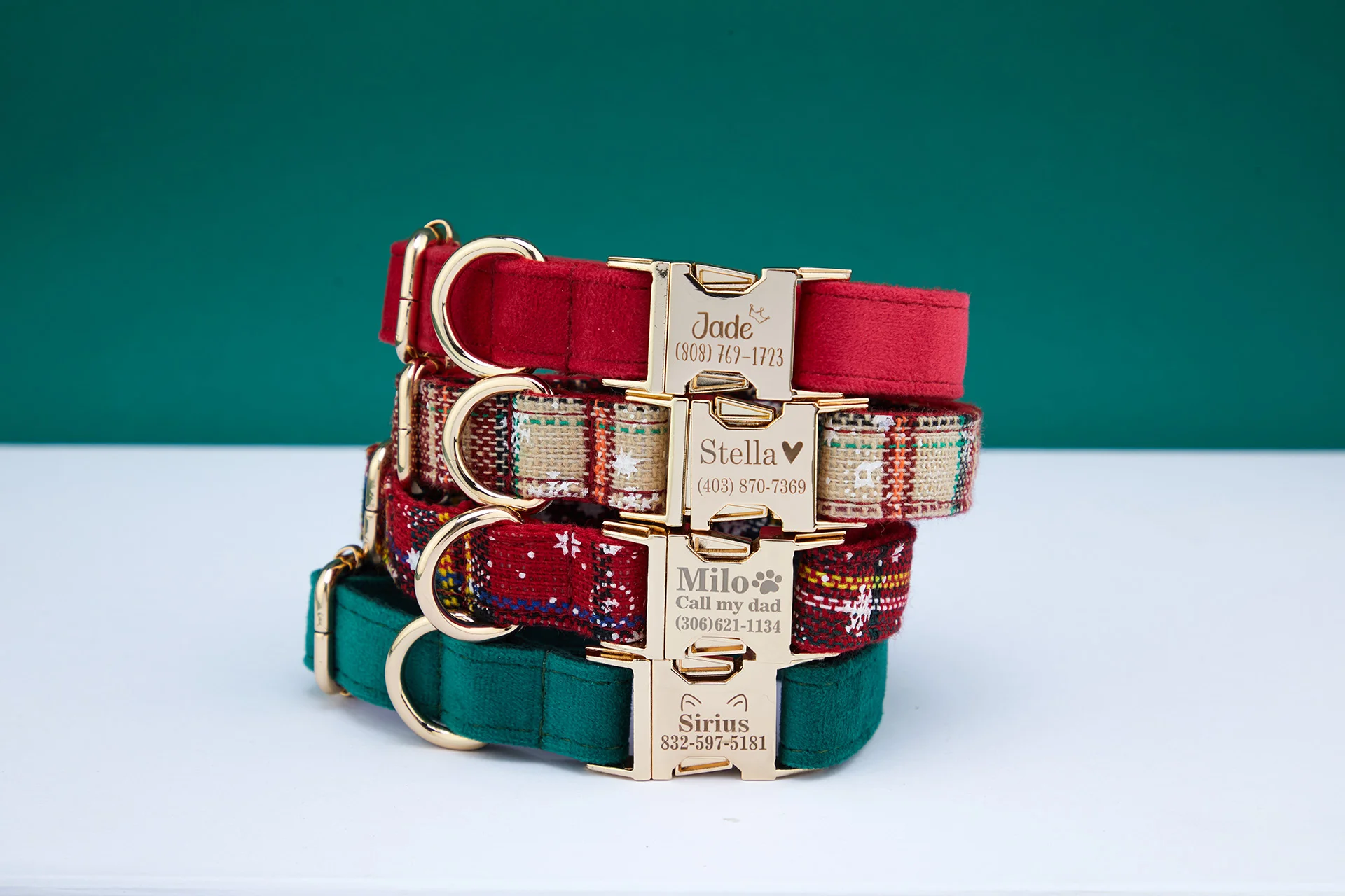 Personalized Pet Accessories ecommerce product visual