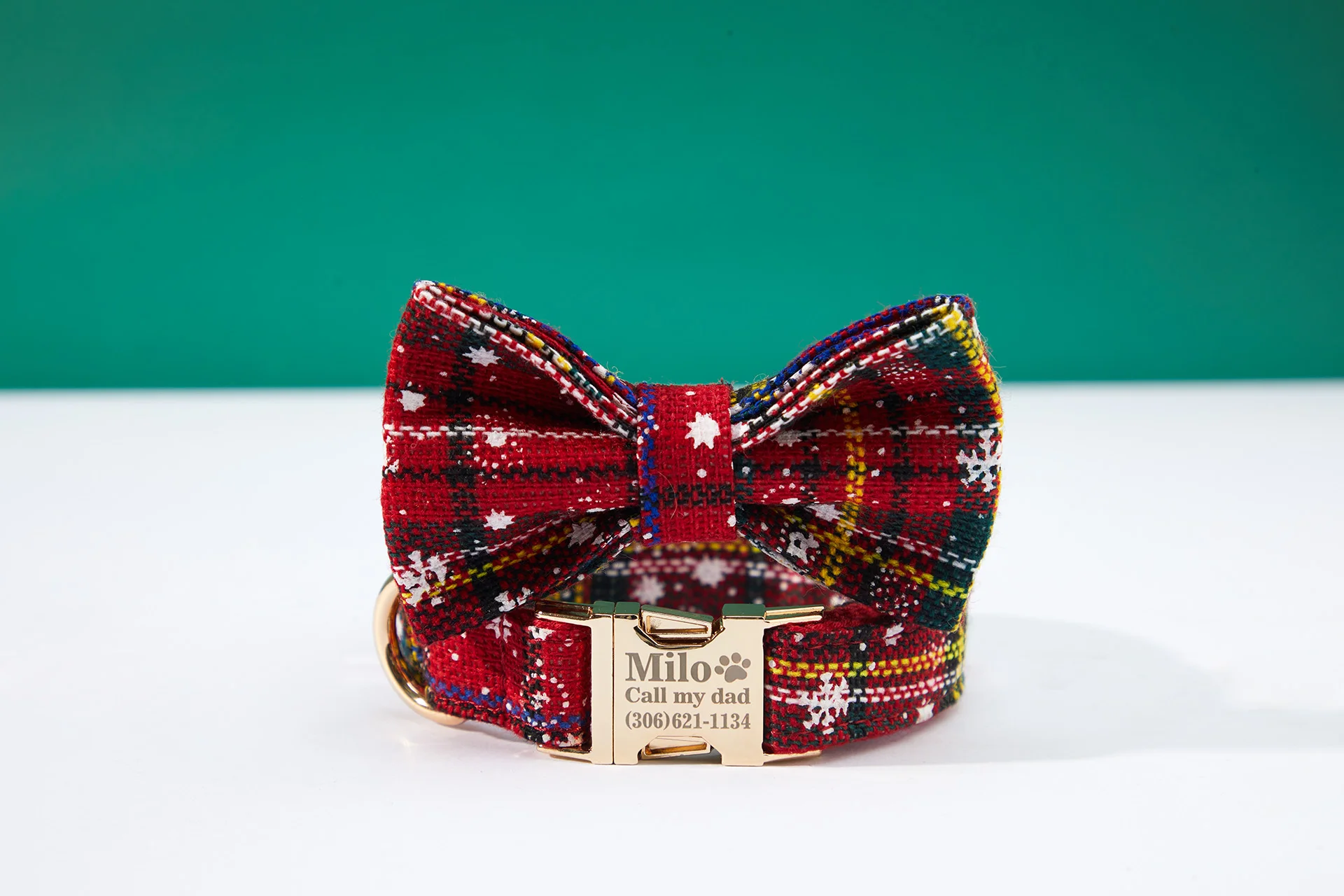 Personalized Pet Accessories ecommerce product visual