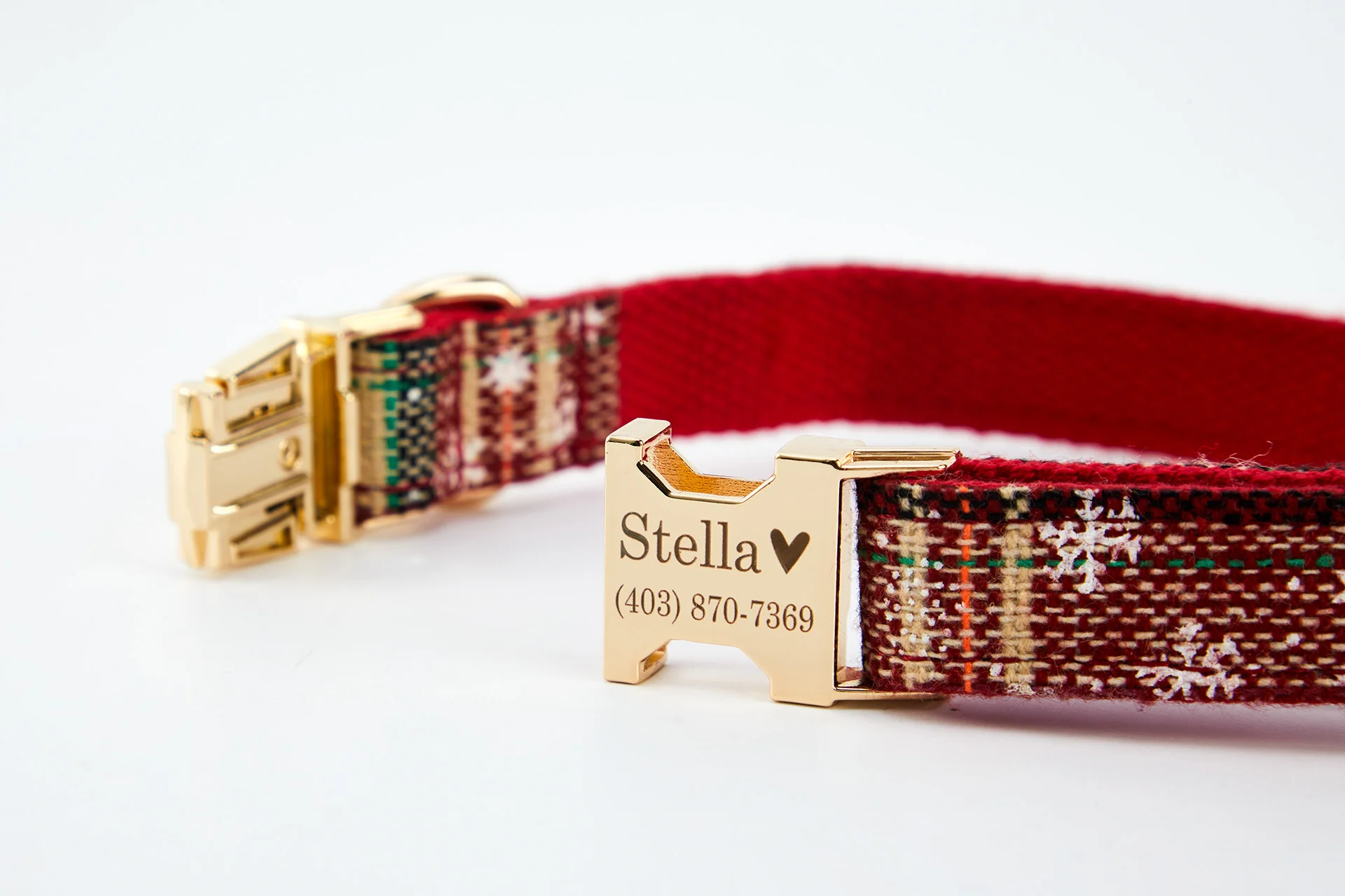 Personalized Pet Accessories ecommerce product visual