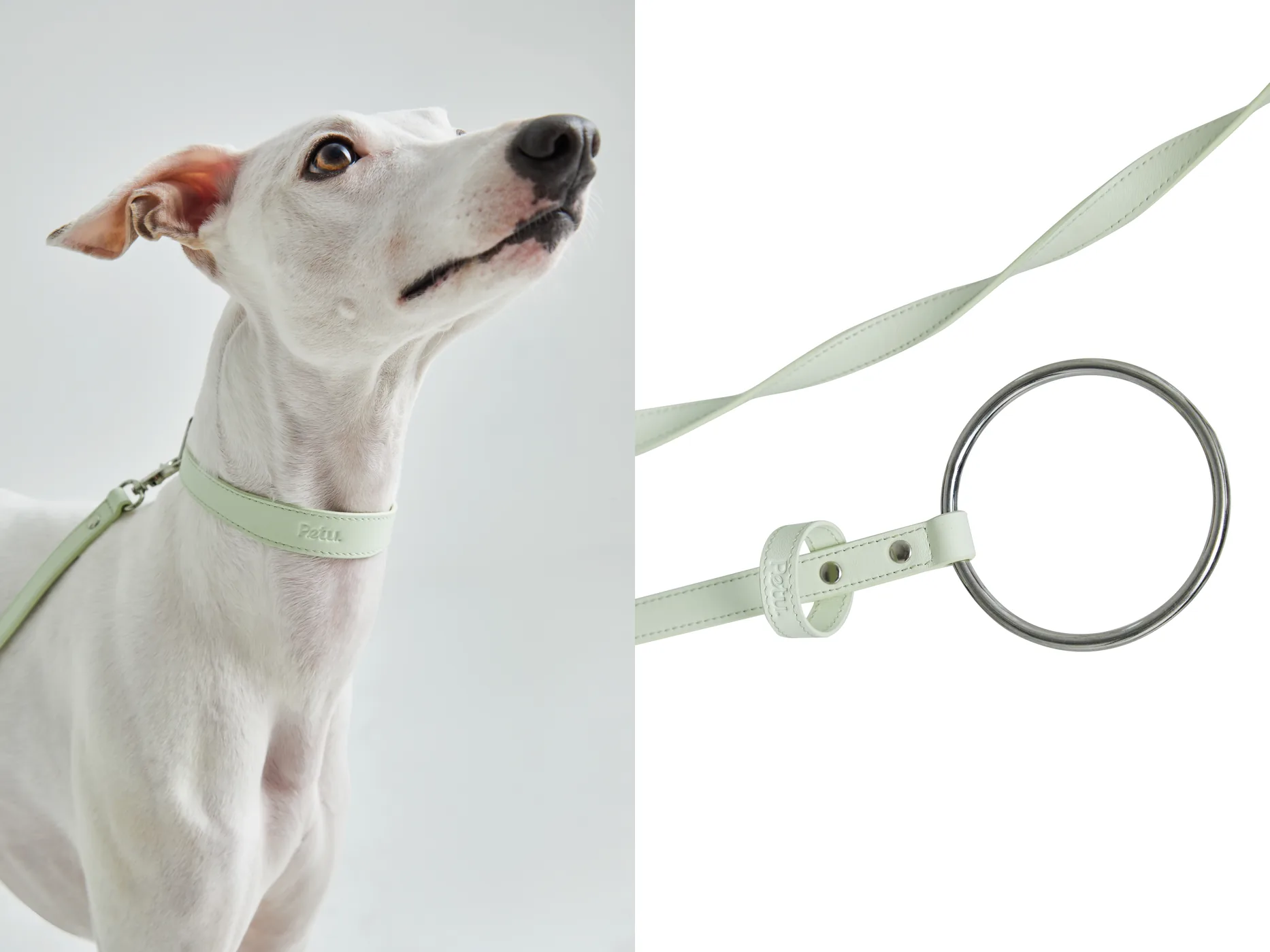 Pet Accessories Lifestyle Photography commercial photography example